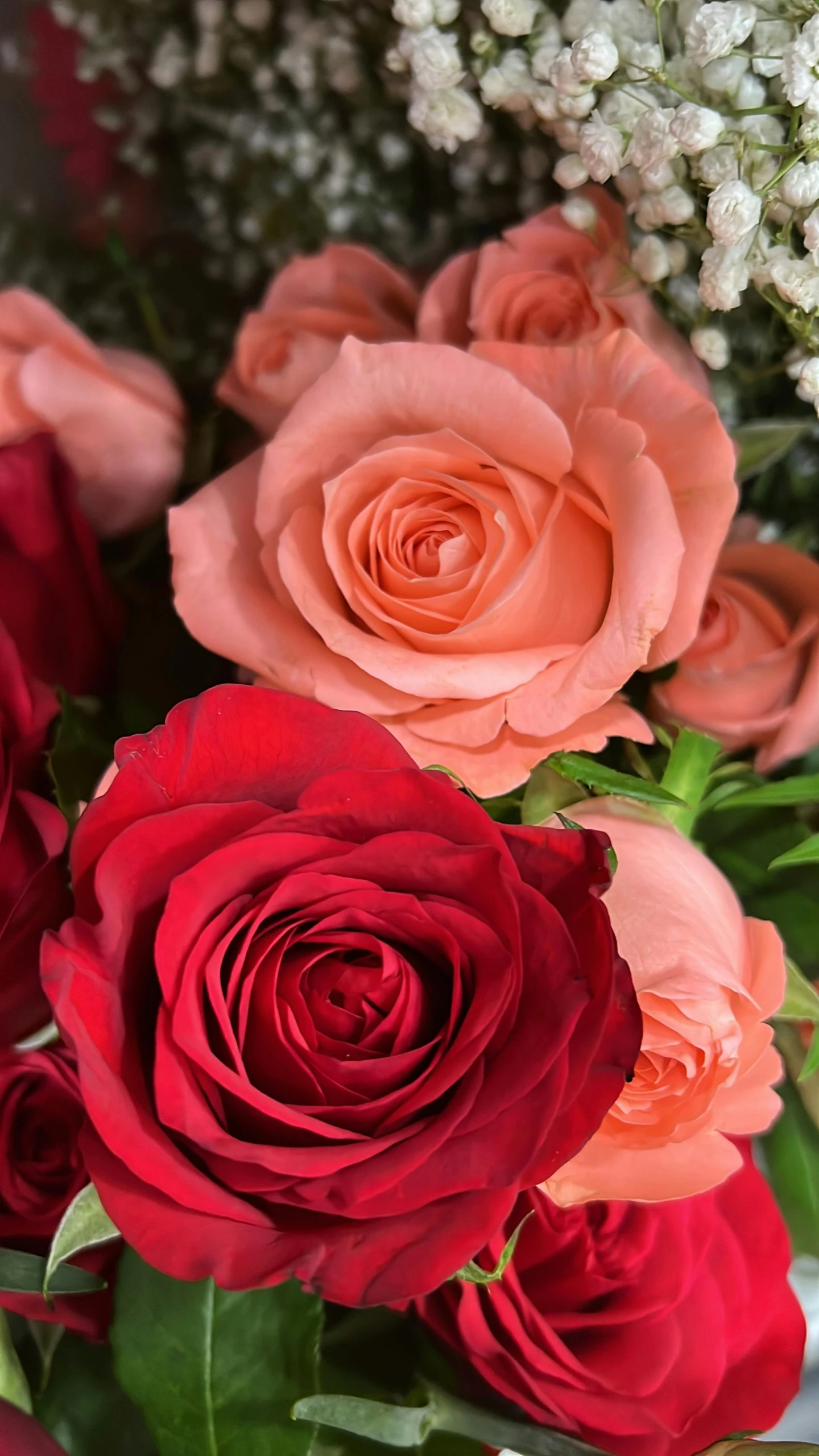 a bouquet of flowers with pink, red and white blooms