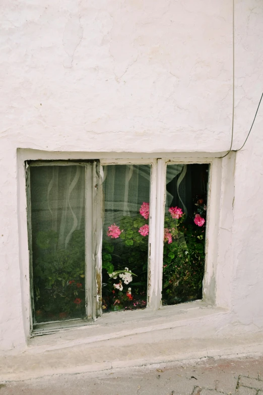 a close - up of three windows with various flowers in the windowsill