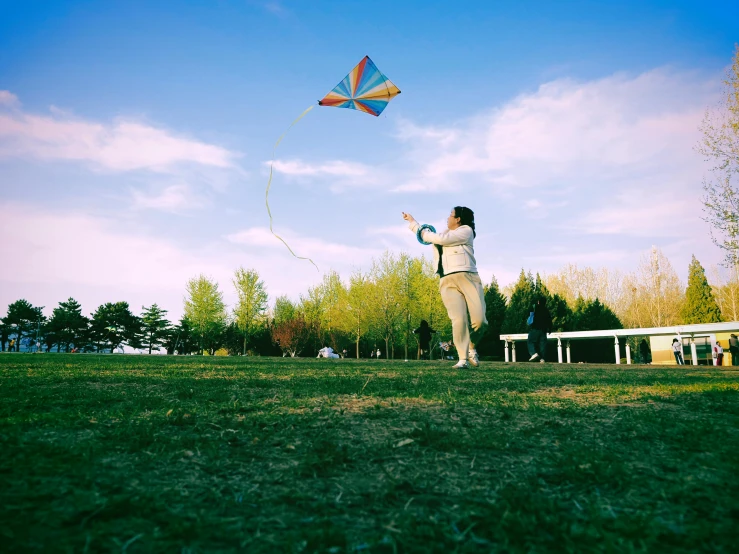 a man standing in the grass flying a kite