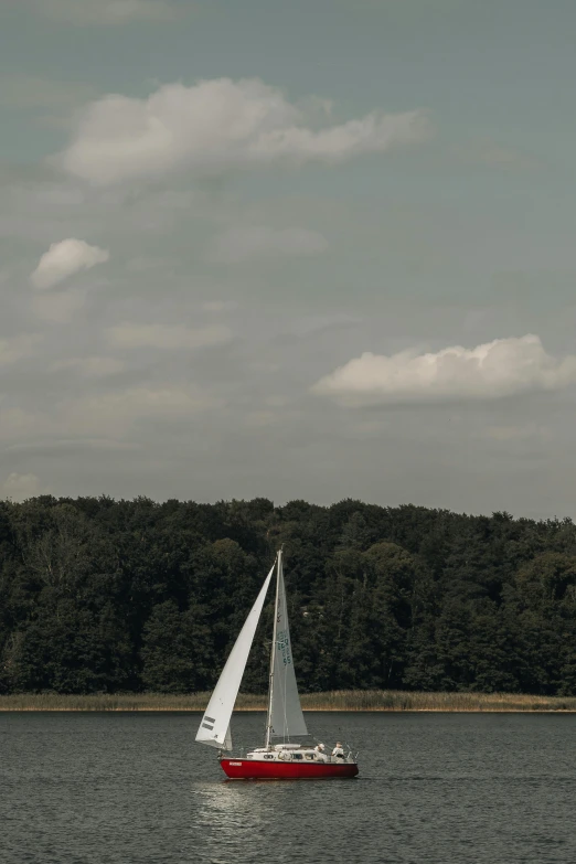 a sail boat out on the water with trees in the background