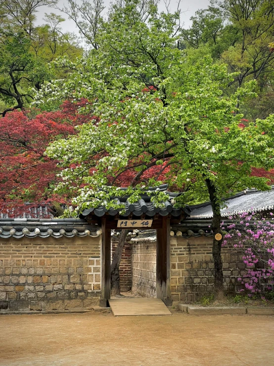 trees and flowers in full bloom behind an asian - style wall