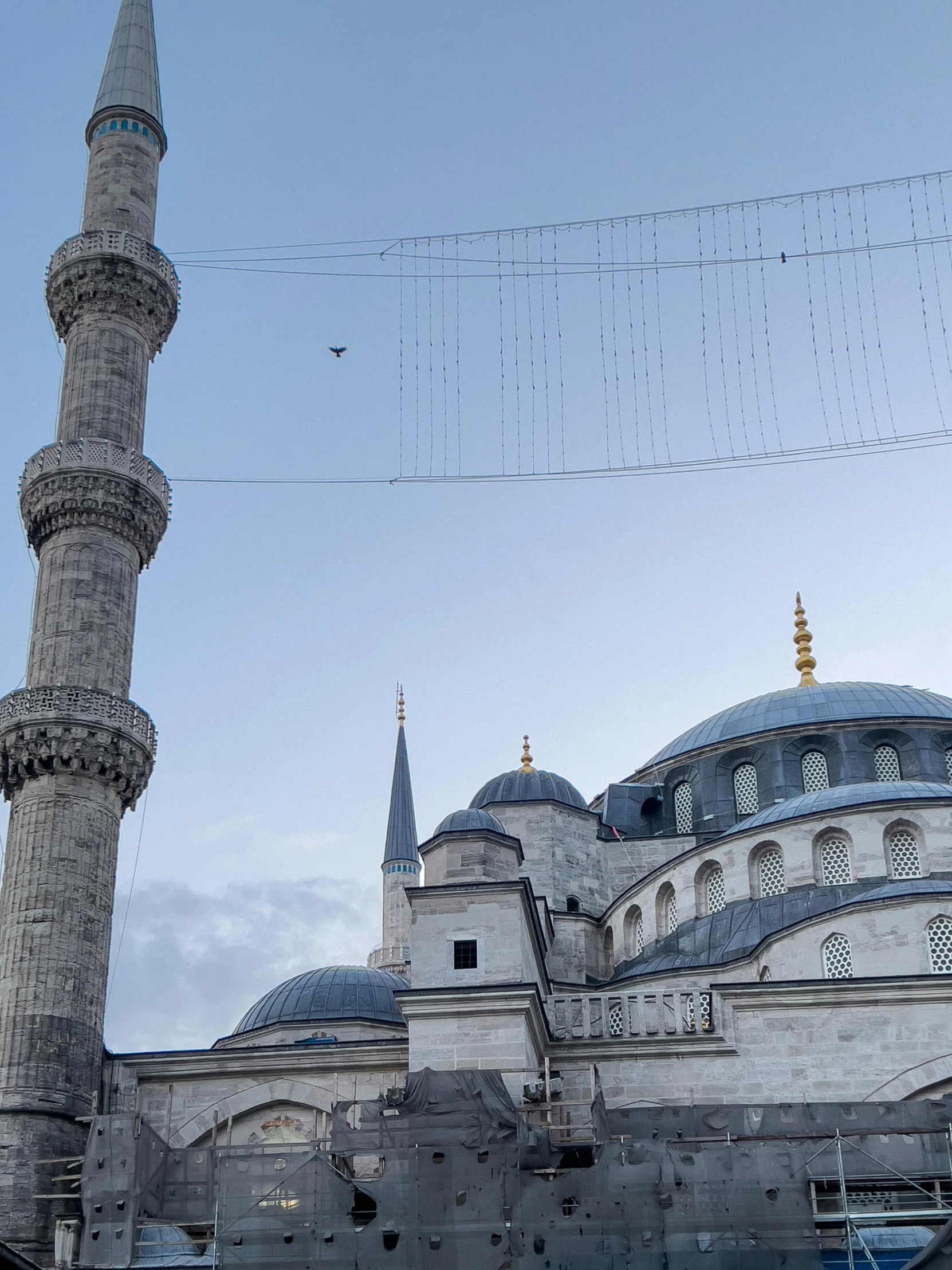 the blue mosque sits next to the wires that line the street