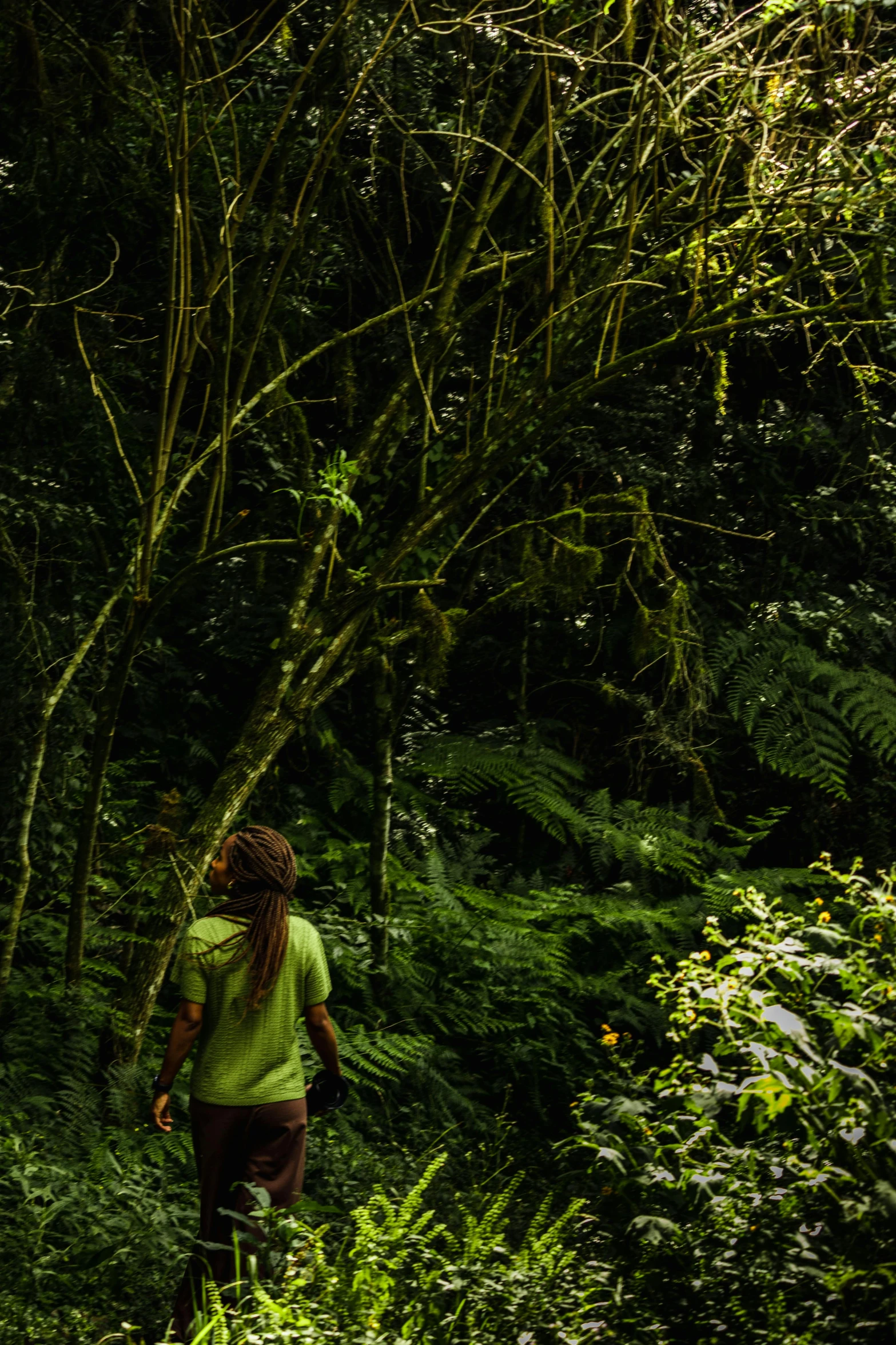 a woman walking in a forest alone by some trees