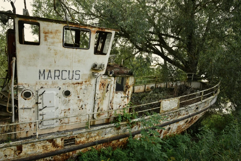 an old rusty boat in the middle of a bush