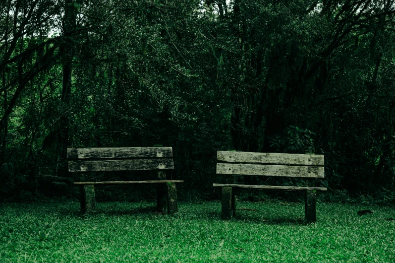 two wood benches sitting side by side on top of a green field