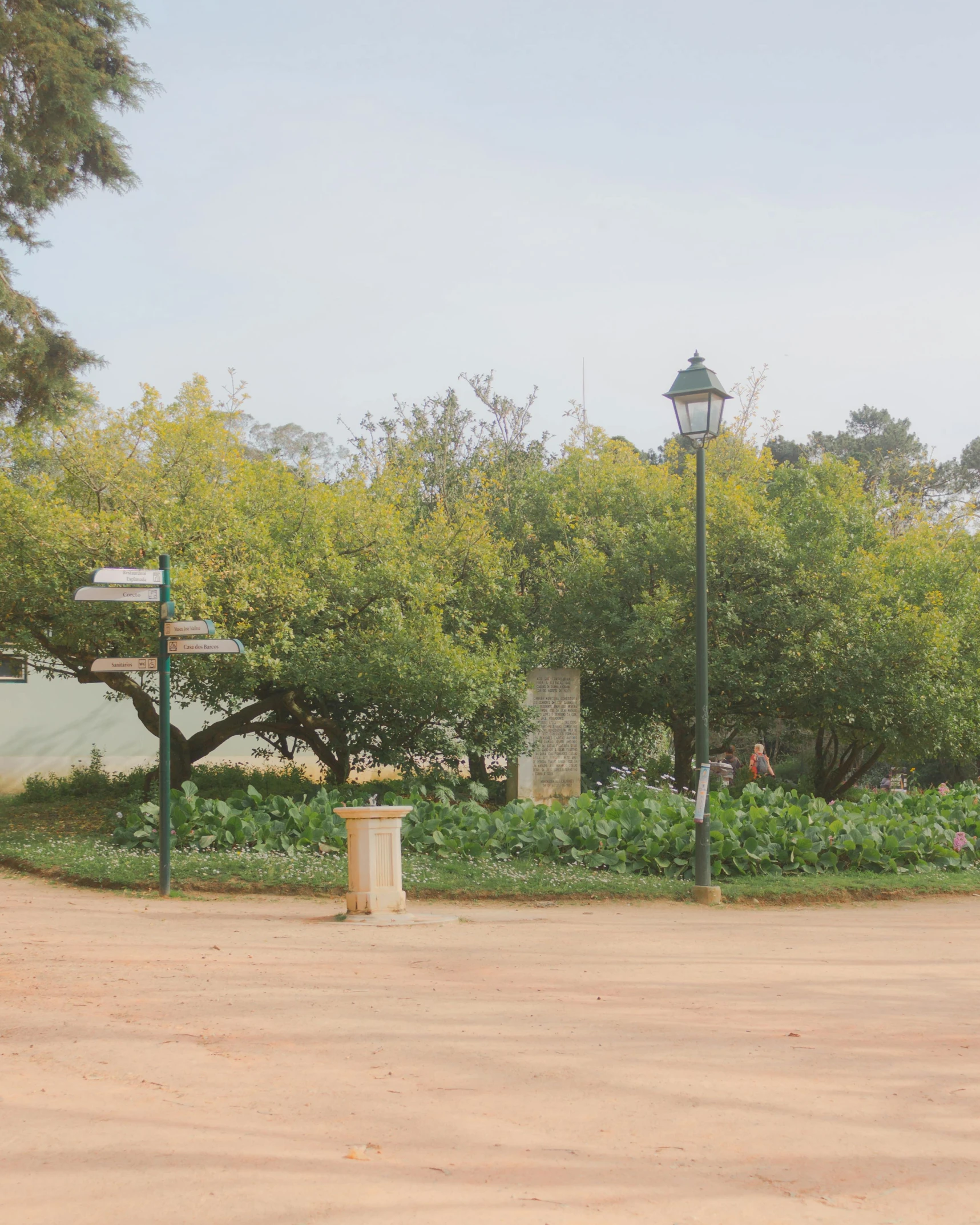 two metal lamps on the street near some green plants