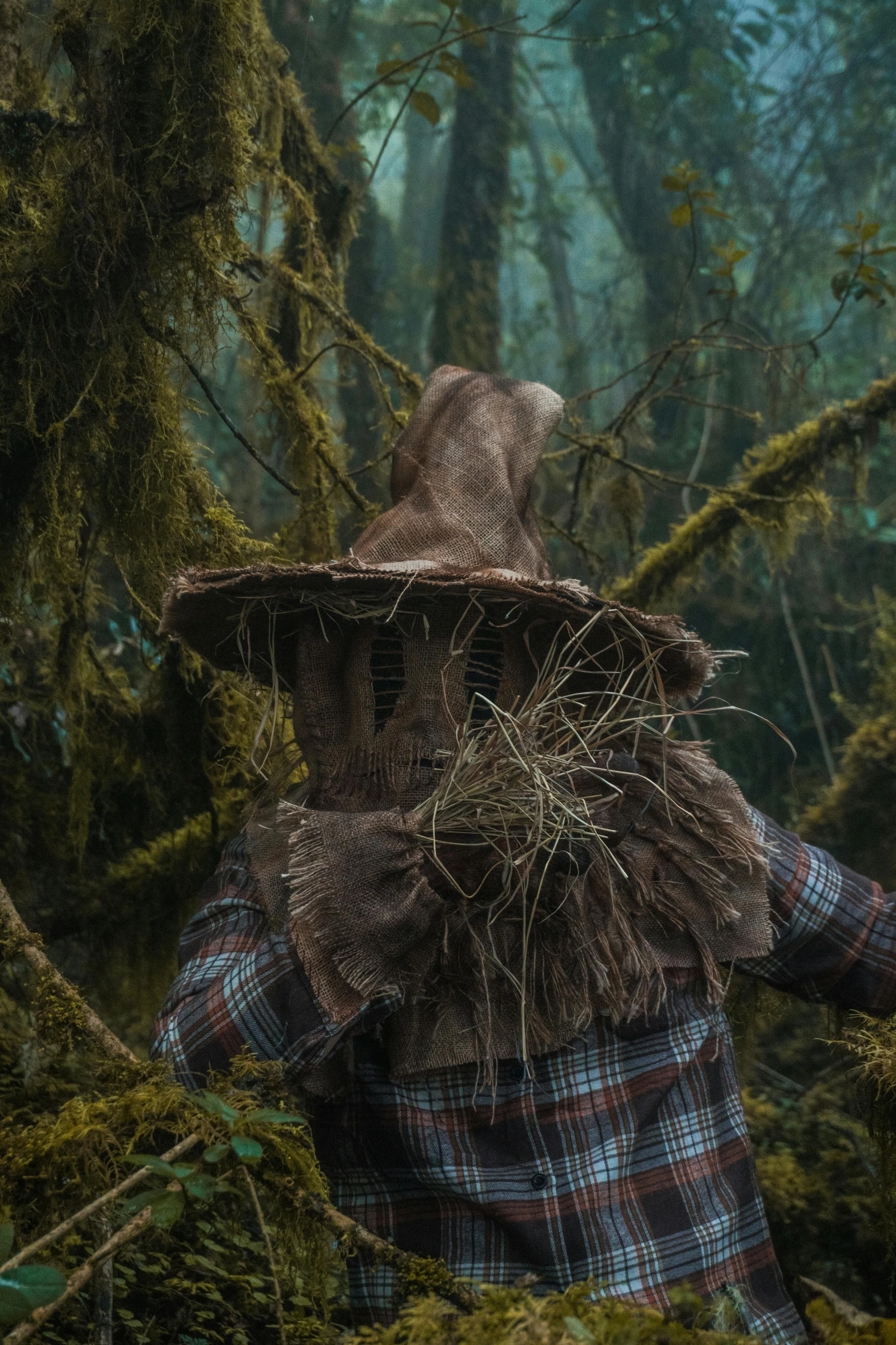 a person in plaid shirt with a straw hat looking at trees