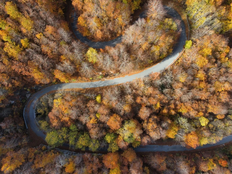 an aerial view of a winding trail in the woods