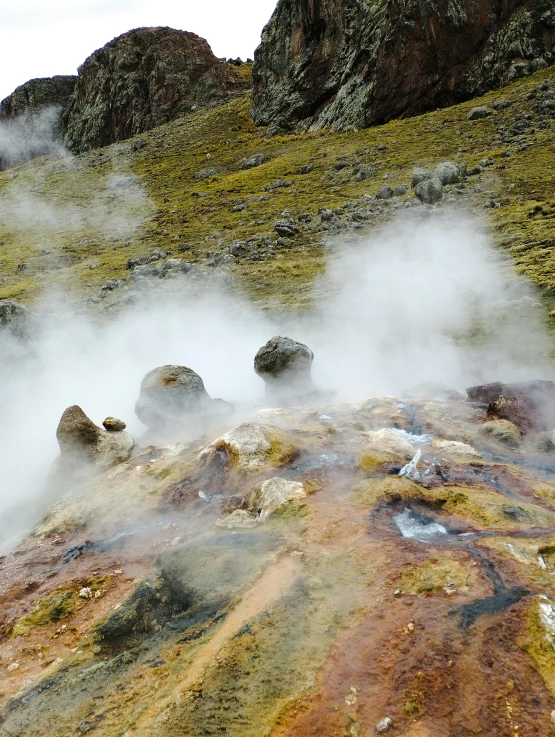 a view from the ground looking down at steaming grass