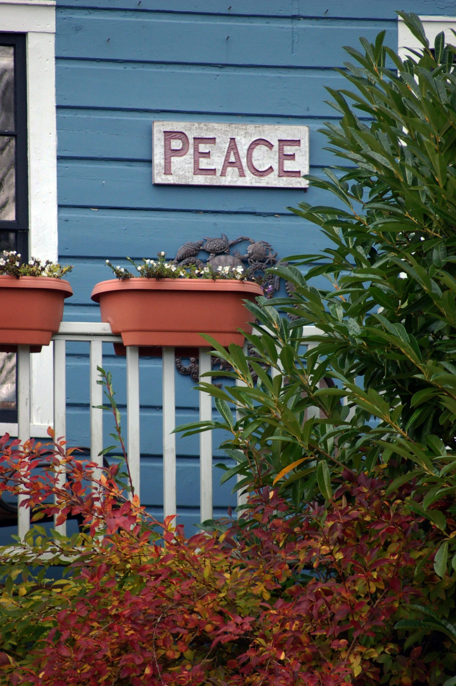 two pots on the side of a building with some plants