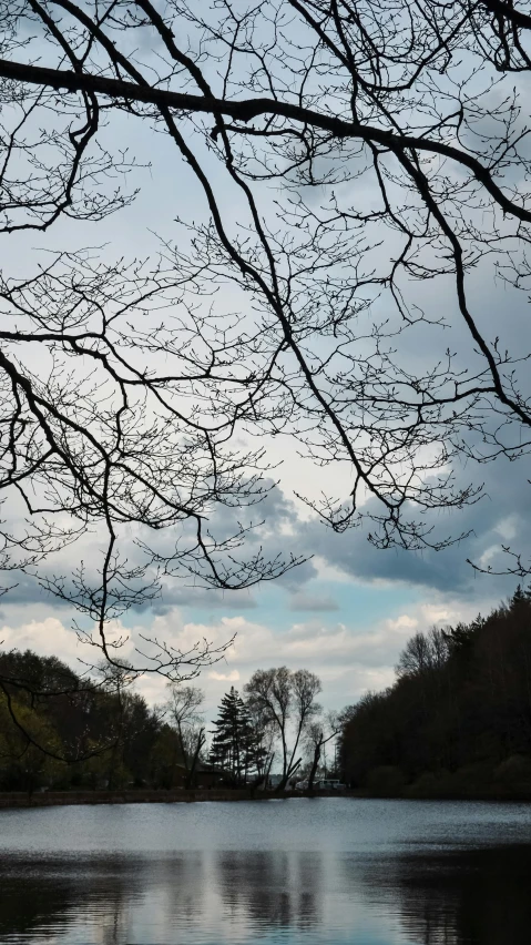 the water and trees are reflecting off the surface