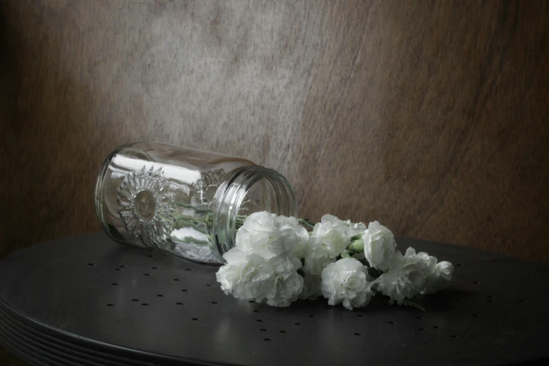 white flowers on top of a shelf in front of a wall