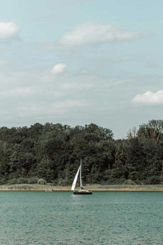 a sailboat on the water in a forest