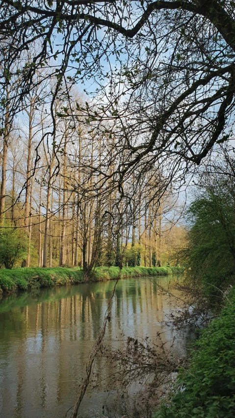 a river flowing between two banks in the forest