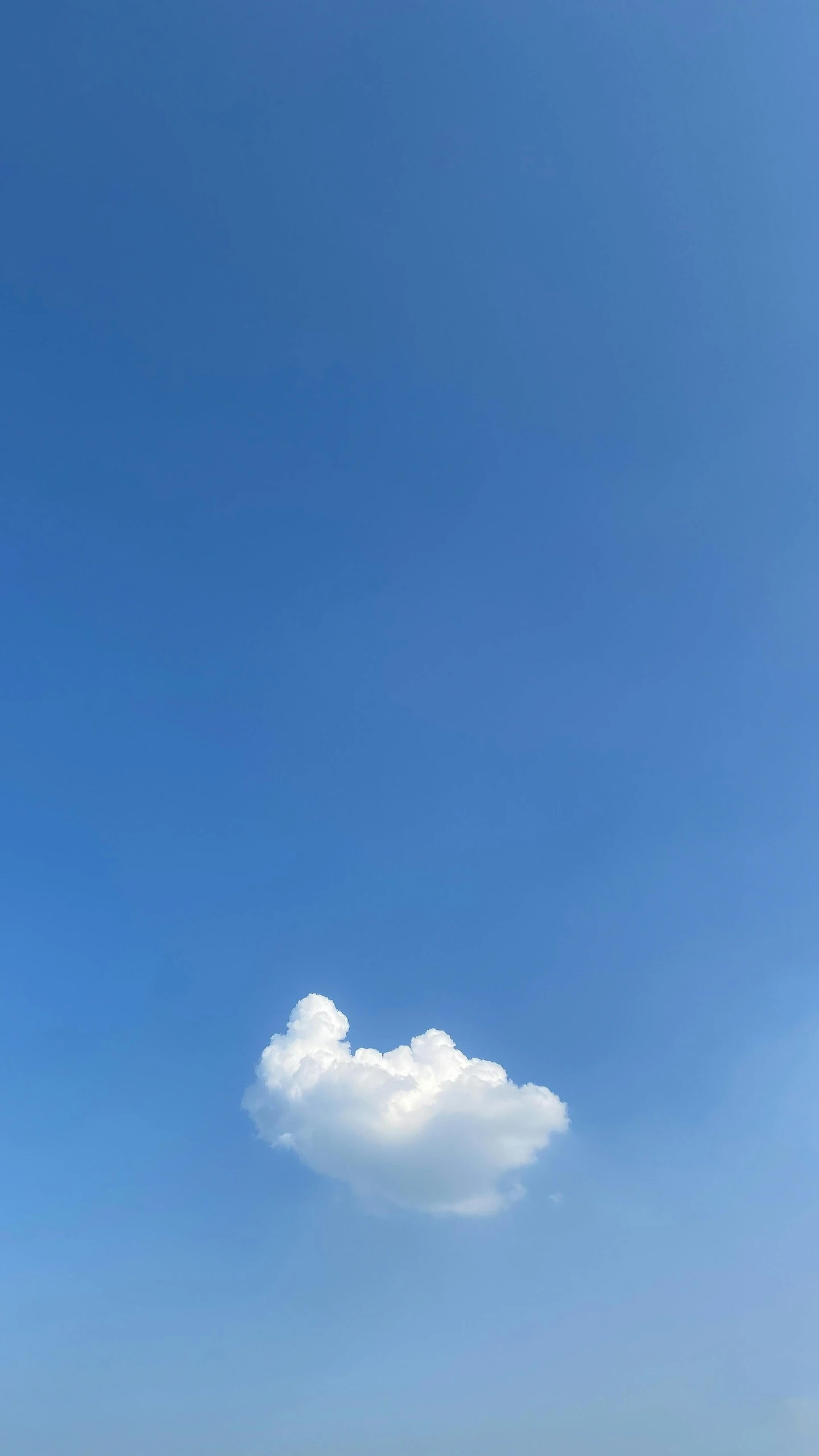 a person standing next to the water under a cloud