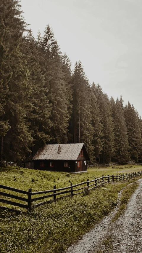 a wooden house in the middle of the forest