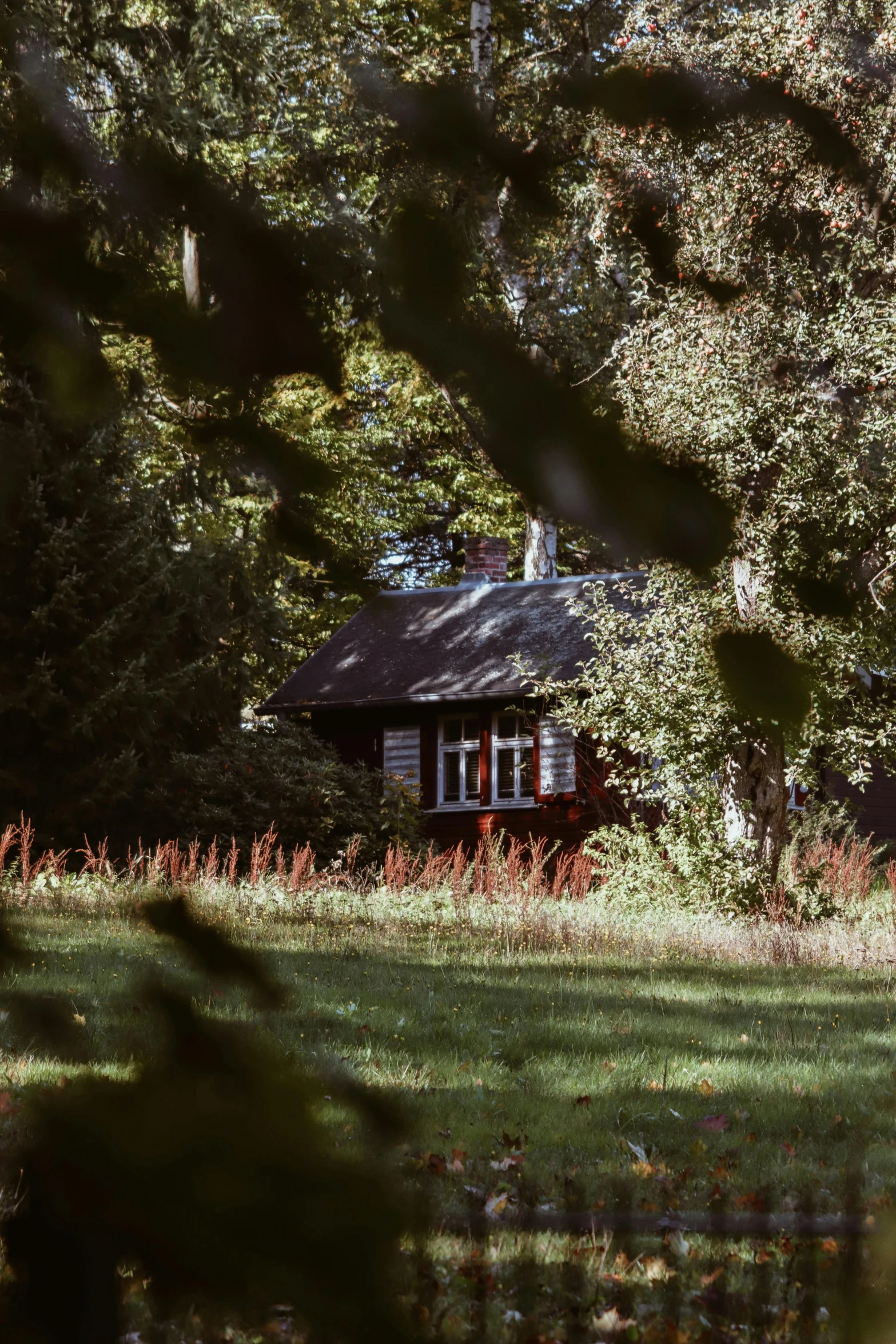 there is a house in the middle of the grass