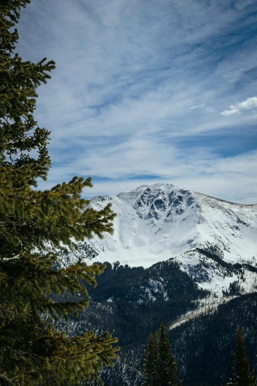 a view of the mountain range near the trees