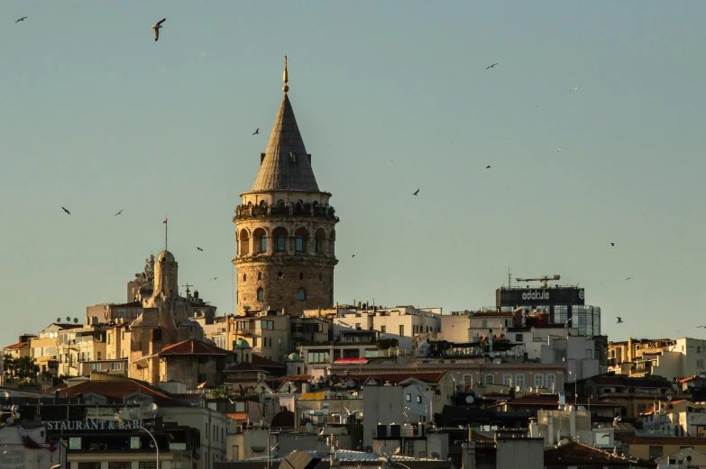 many birds are flying around an old church tower