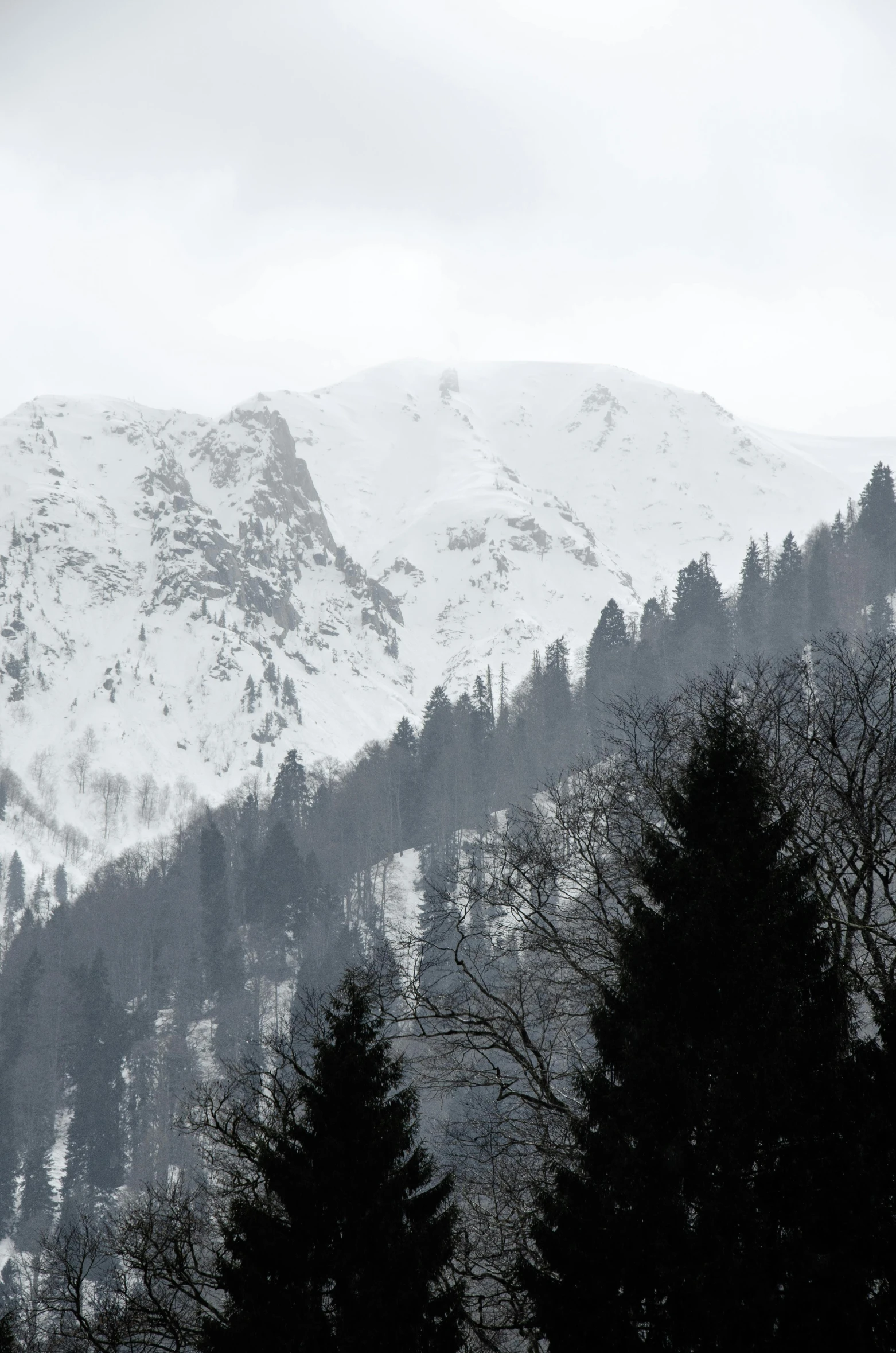 the mountains are covered with trees as the sky is very cloudy