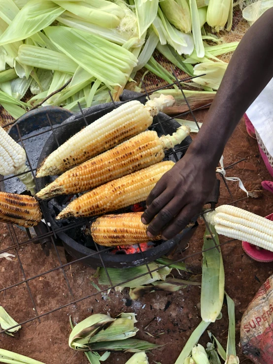 a basket filled with corn and another person preparing food on top of a grill
