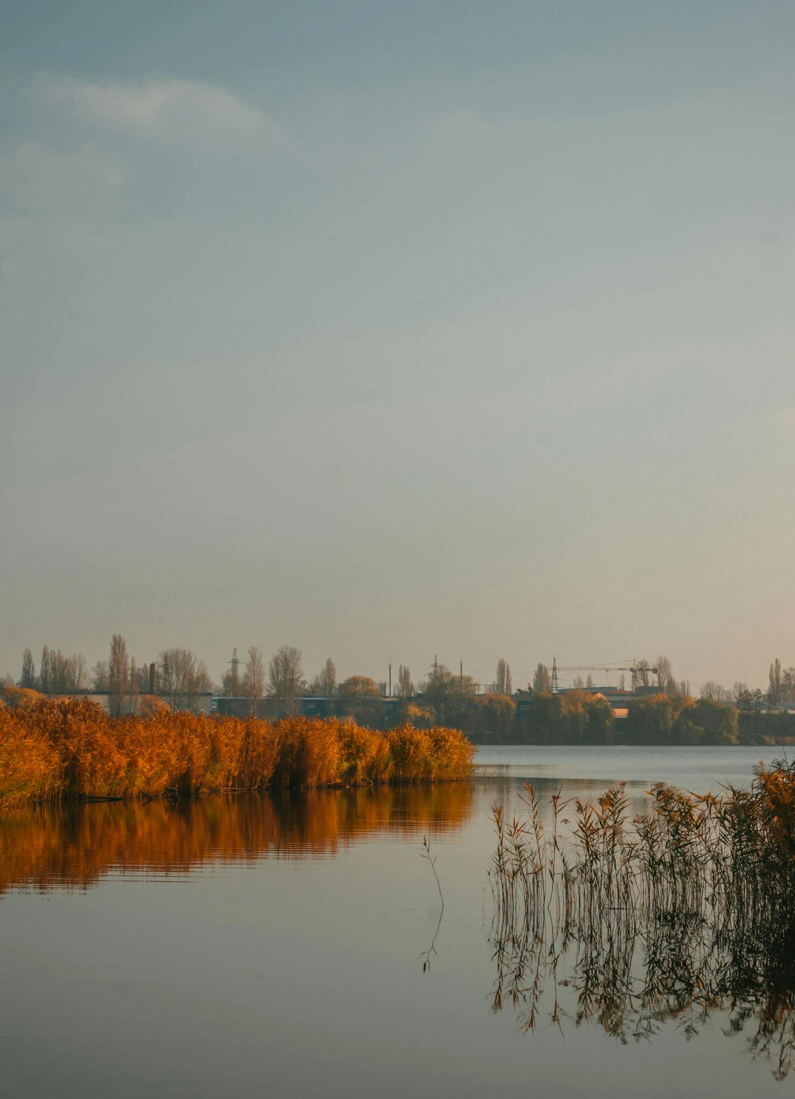 a large body of water with trees and buildings in the background