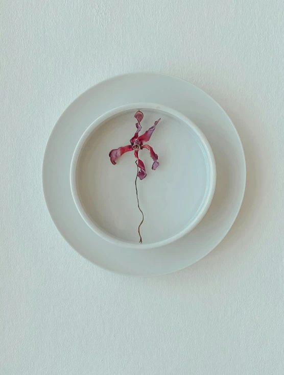 a single orchid in a white bowl on a table