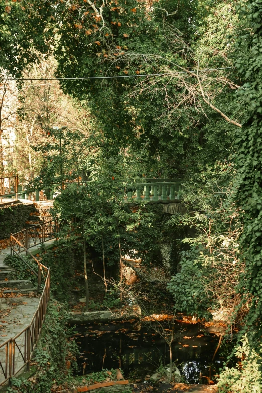 a bridge crossing over a small river in the forest