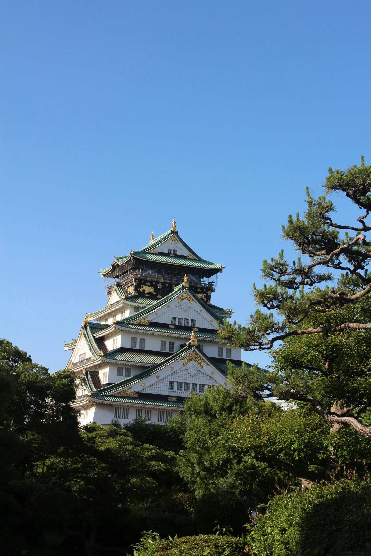 a building is shown near many trees and bushes