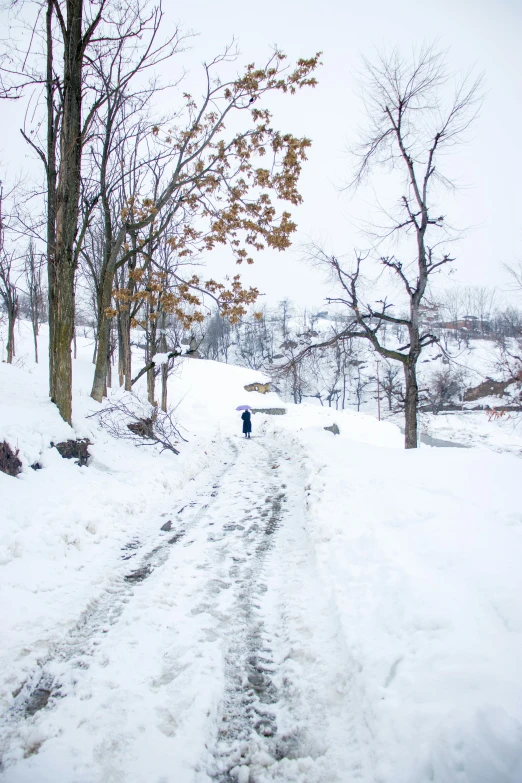 a person walking across the snow covered path