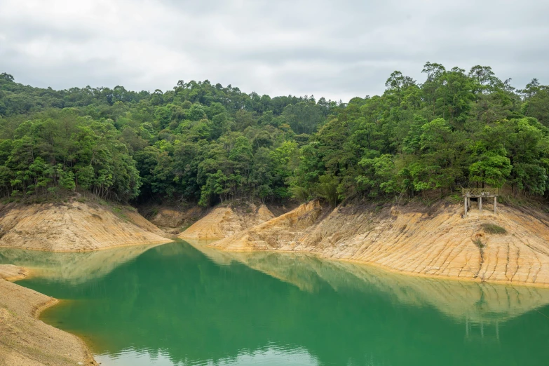 a large amount of water sitting next to green trees