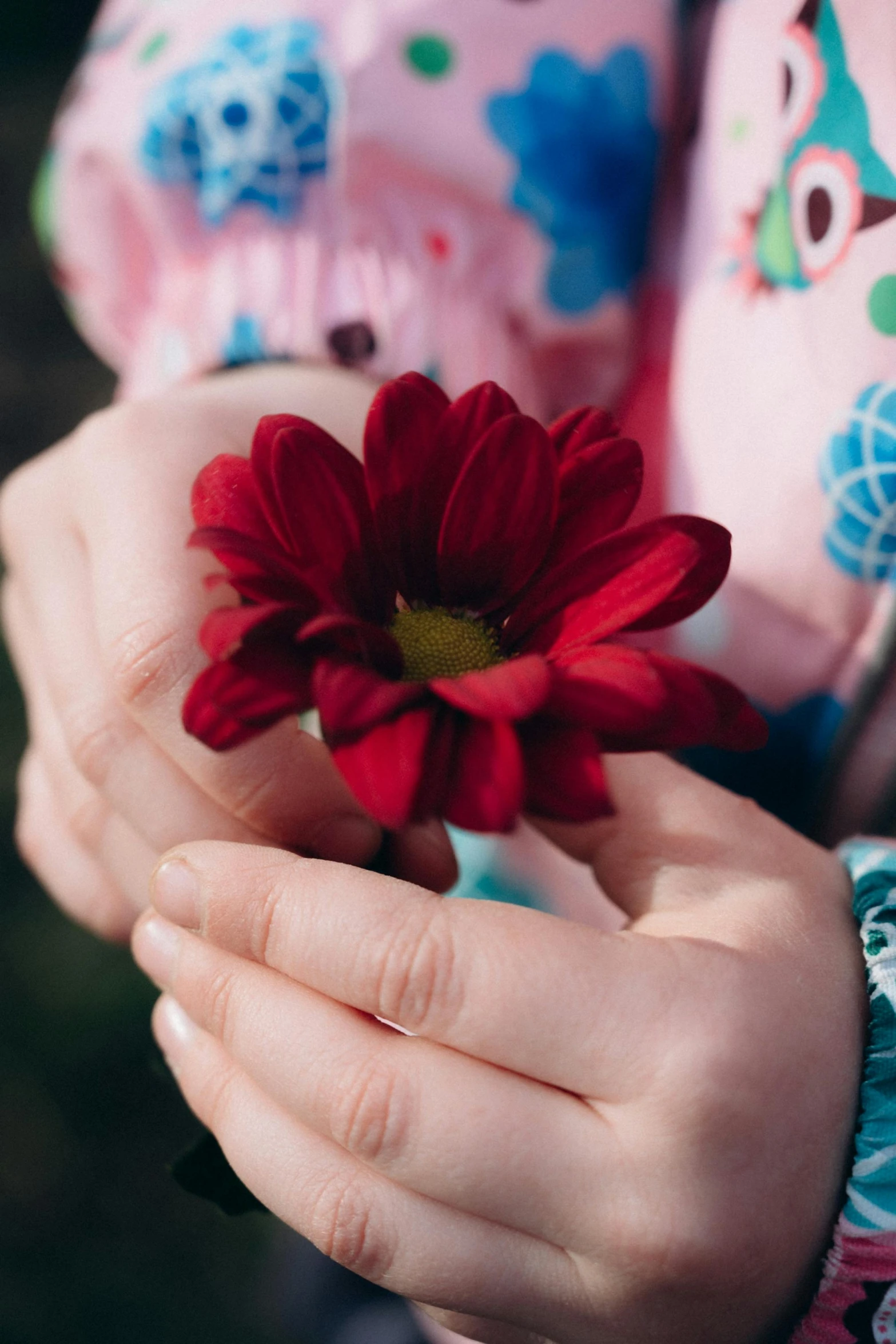 a girl holding out a bright red flower