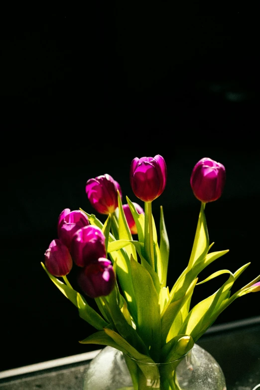 a small clear vase filled with pink tulips