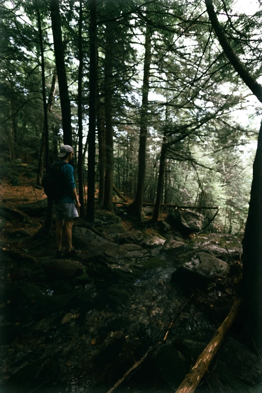 a man standing on top of a rock next to trees