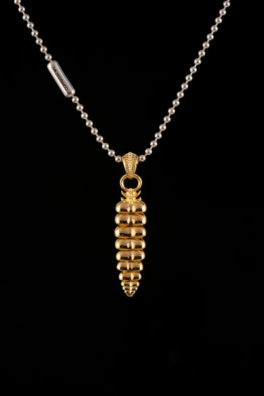 an image of a golden beetle necklace