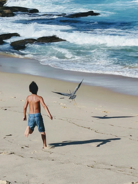 a  is walking on the beach by the water