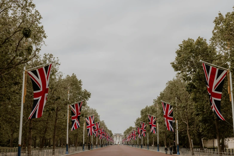 many flags on poles lined up down the street