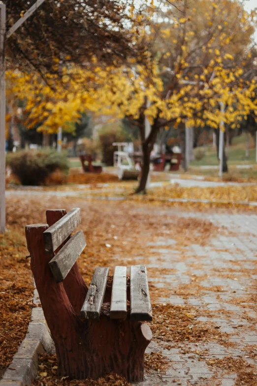 a park bench and walking path are covered with fallen leaves