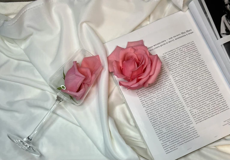 two pink roses laying on top of a bed next to an open book