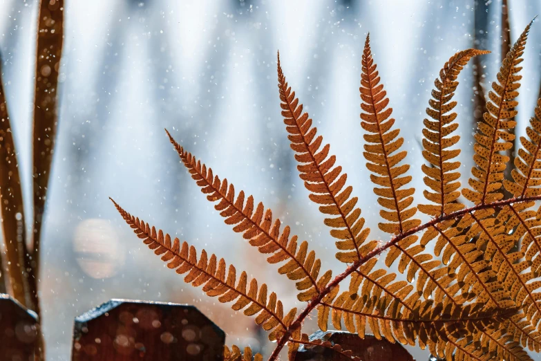 a plant with long leaves sits on a ledge