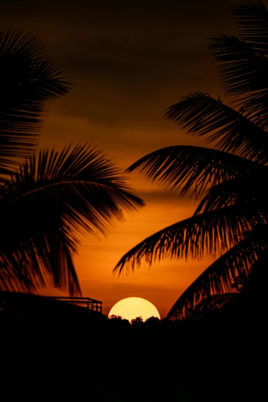 a sunset behind some palm trees