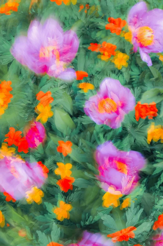 a multicolored abstract image of flowers and leaves