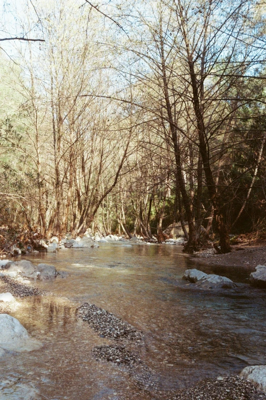 a man is riding down a dirt path through the woods