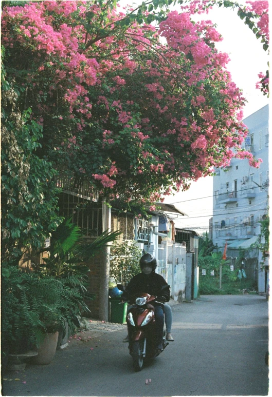 a person on a motorcycle passing a building in the street