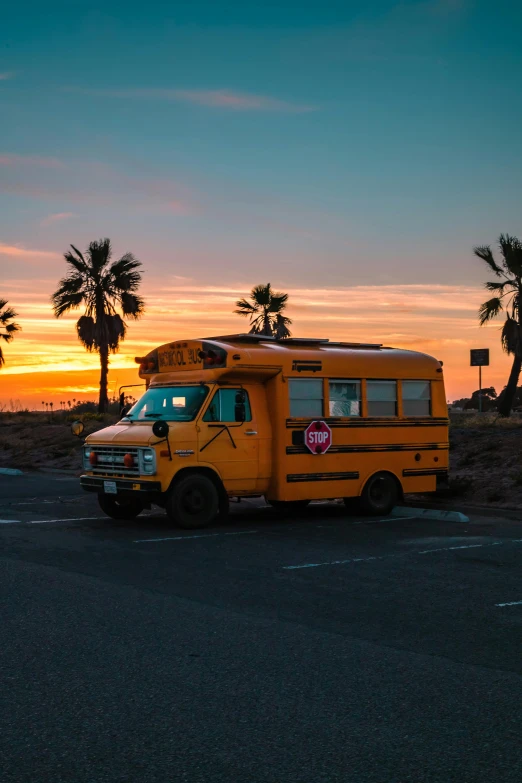 a yellow bus parked in front of a palm tree