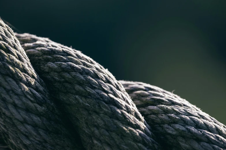 closeup of a rope with an eye in the middle