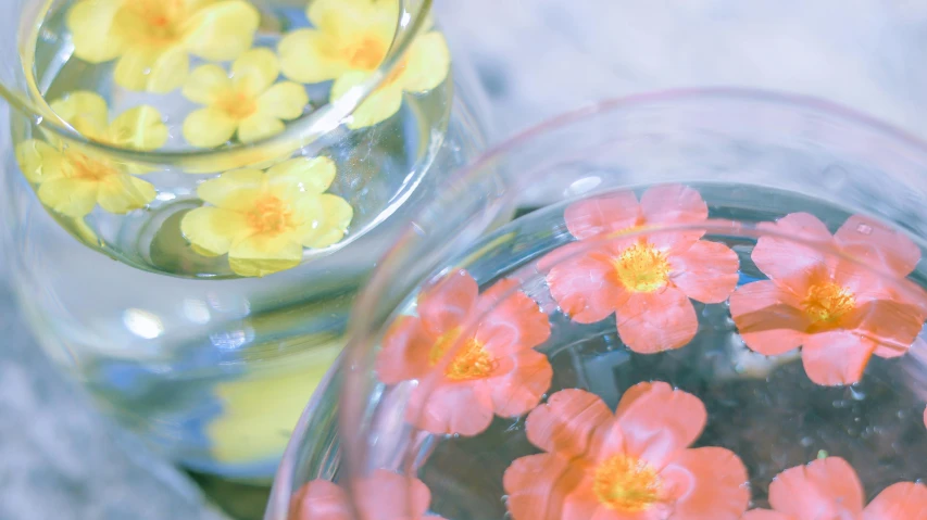 small flower floats are floating in water in jars