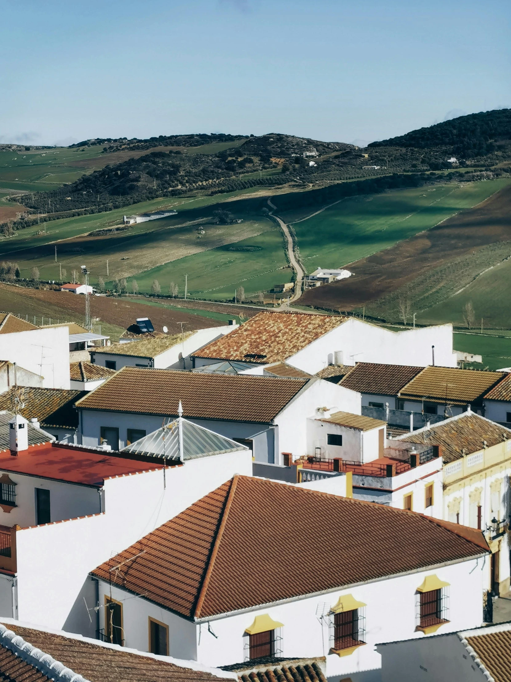 there are many white houses on the hill side