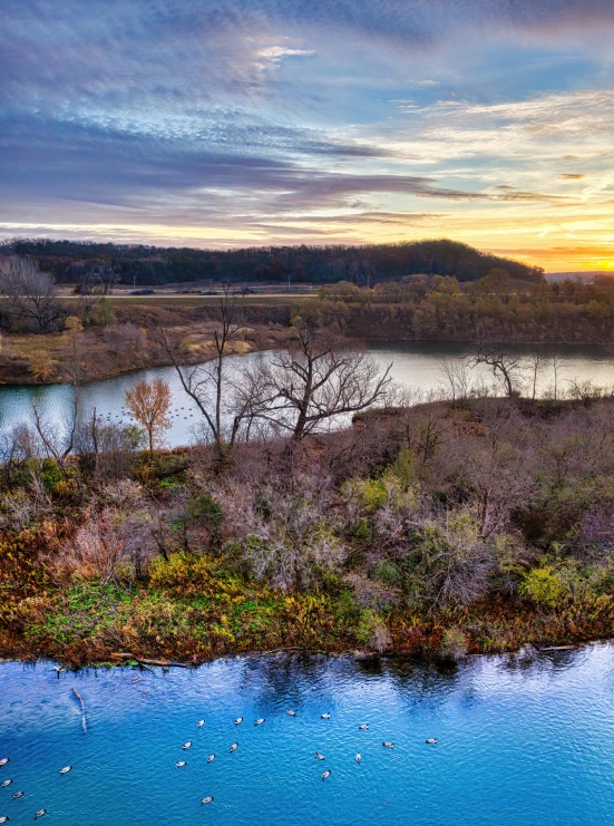 water, trees and plants are pographed on the bank of a small river