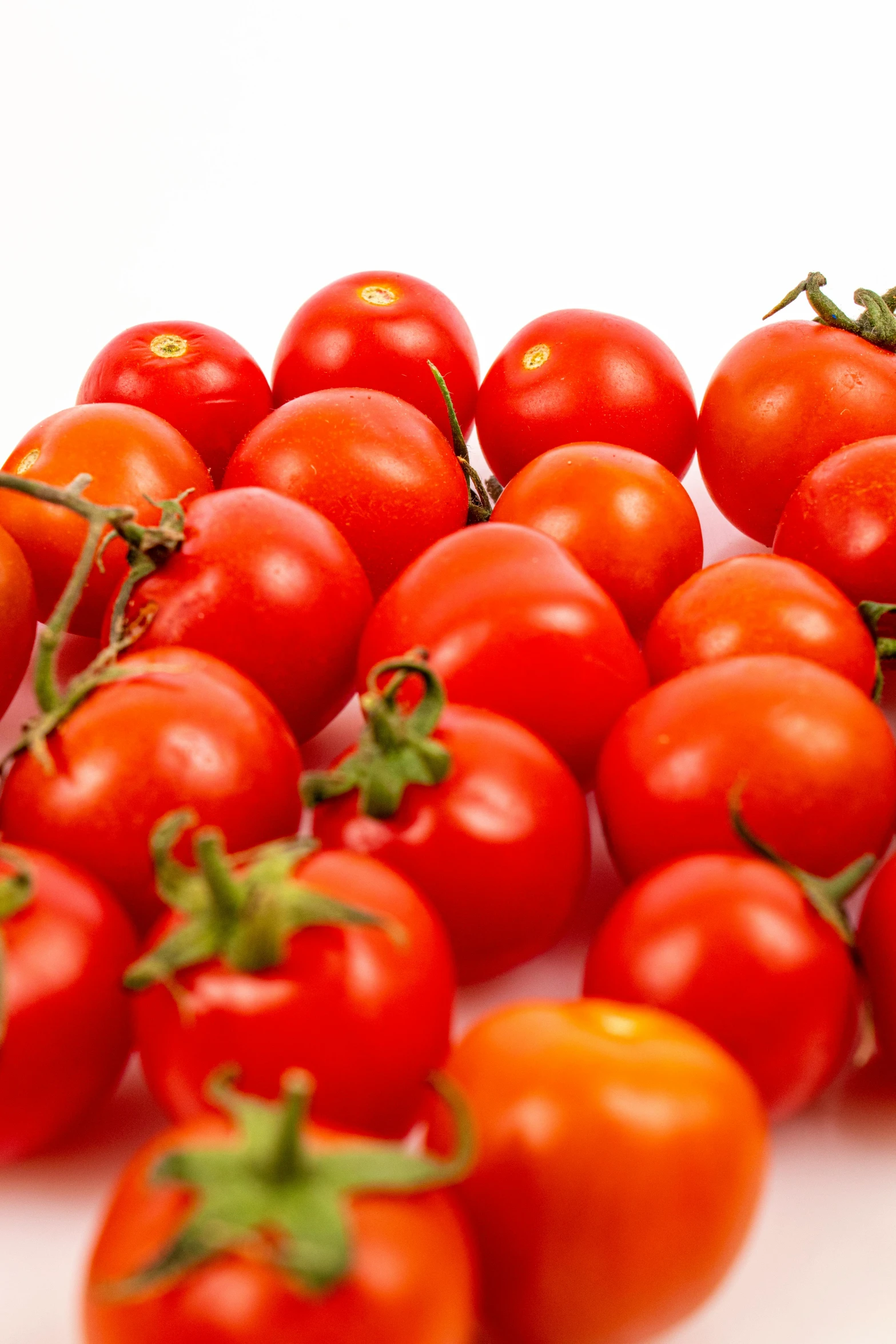 a bunch of tomatoes on the vine on the ground